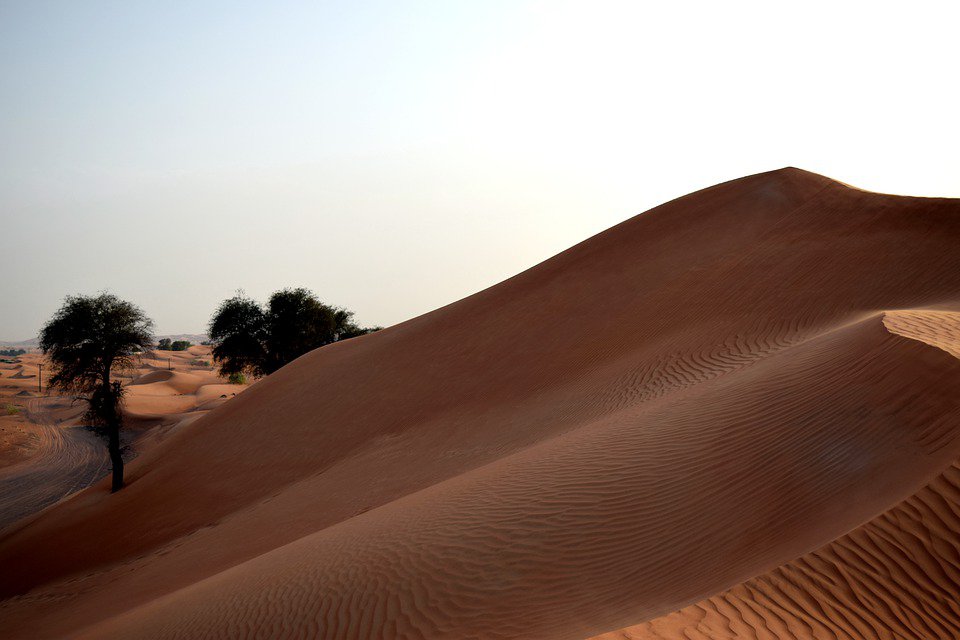 uae desert dmw travel.jpg